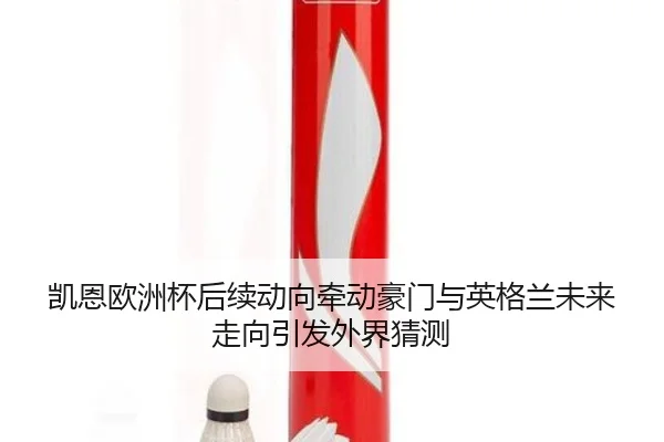凯恩欧洲杯后续动向牵动豪门与英格兰未来走向引发外界猜测 | wukongsports